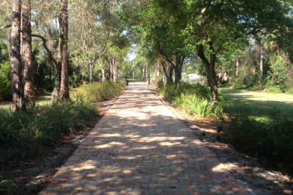 Pavers, Horse Rubber Pavers, and Driveways